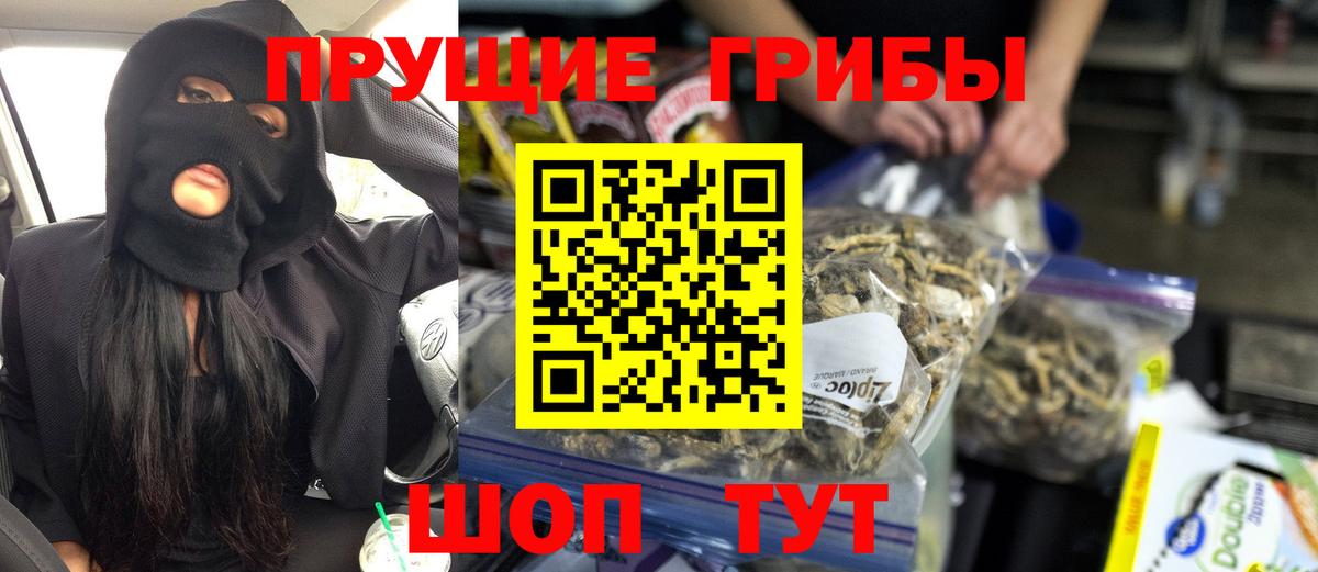 Псилоцибиновые грибы Psilocybine cubensis Киселёвск